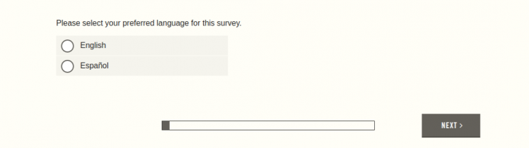 Abercrombie and Fitch Survey