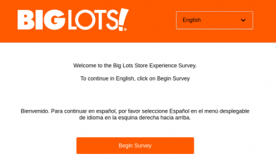 biglots survey